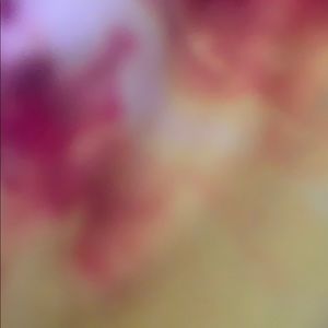 Meet your Posher, Shayna